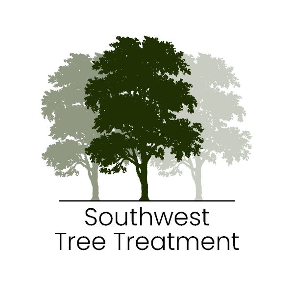 Professional EAB Treatment and Tree Treatment Services